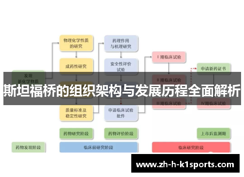 斯坦福桥的组织架构与发展历程全面解析